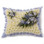 Massed Pillow
